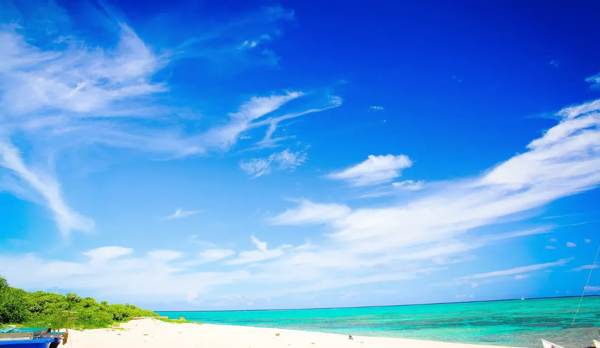 日本初、世界でも類を見ない